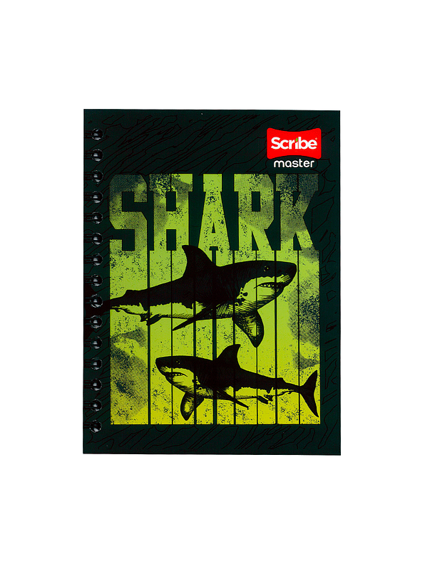 Cuaderno Argollado Pasta Dura Master Masculino 80 Hojas  1