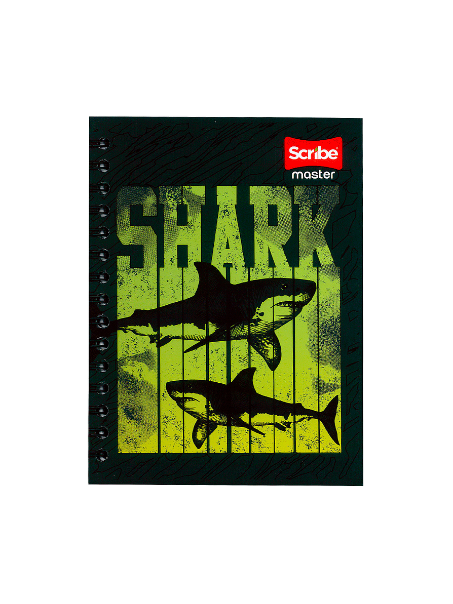 Cuaderno Argollado Pasta Dura Master Masculino 80 Hojas  1