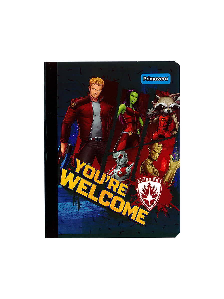 Cuaderno Cosido Masculino Primavera 100 Hojas Cuadros  5