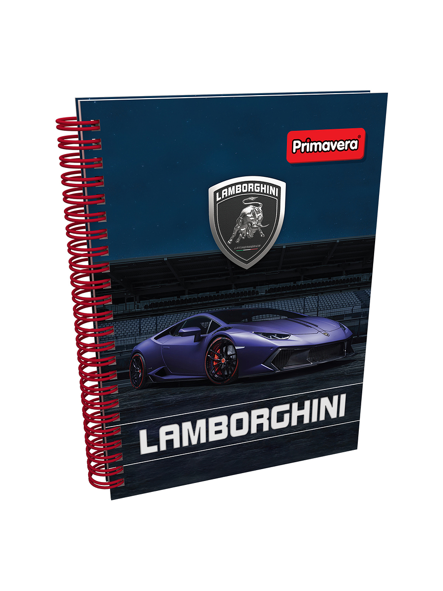 Cuaderno Primavera Argollado 5 Materias Masculino 4