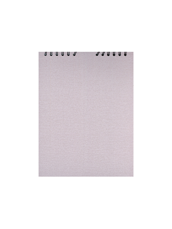 Bitácora Carta Especial 1