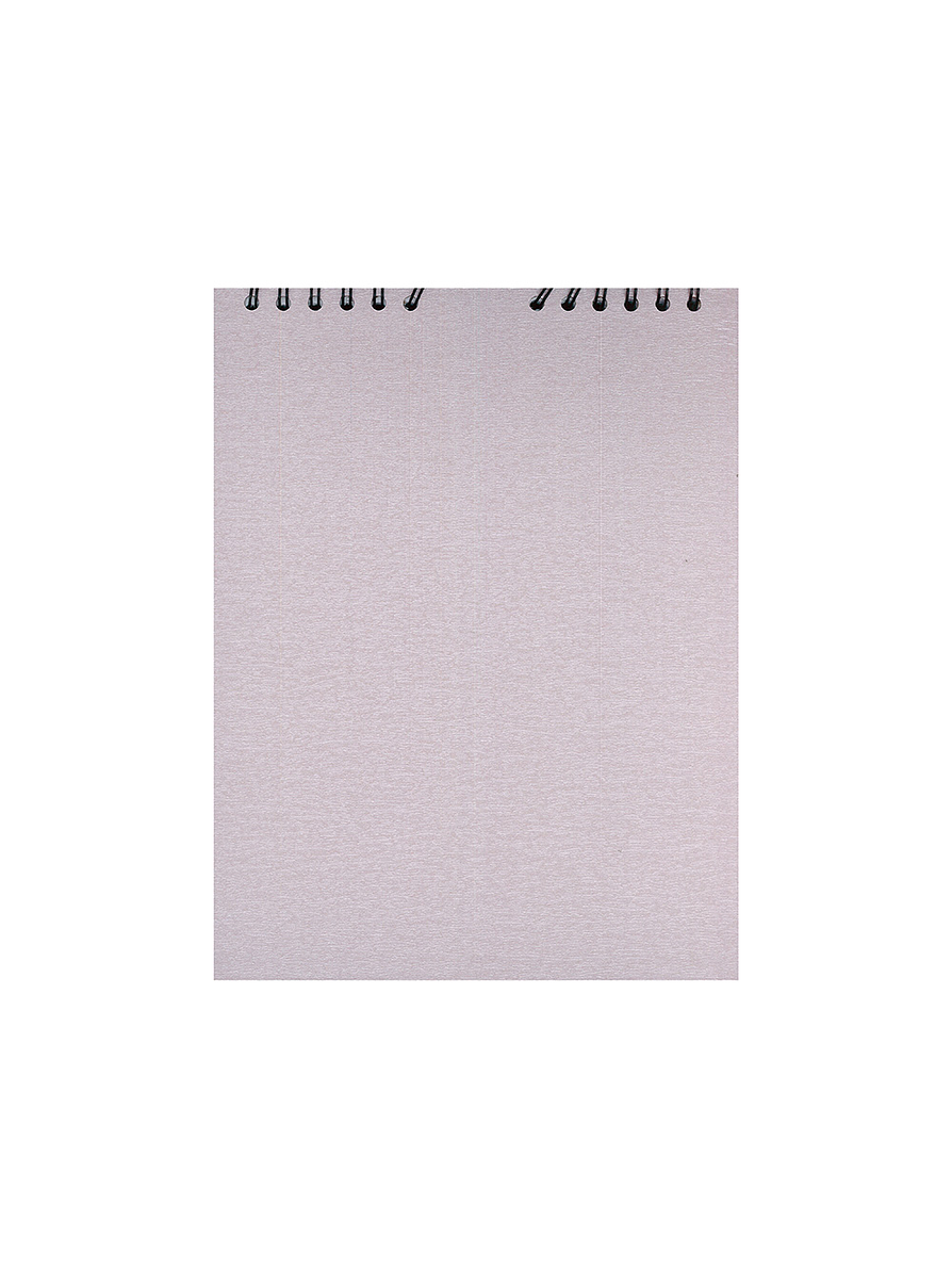 Bitácora Carta Especial 1