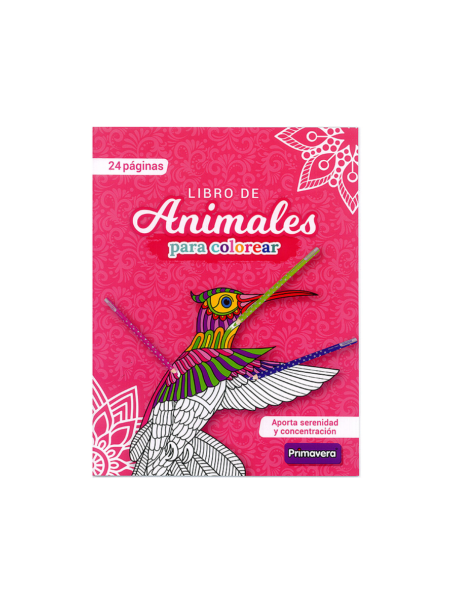 Libro Para Colorear Primavera 1