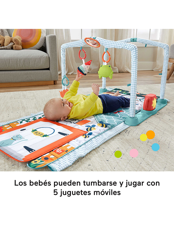 Fisher-Price Gimnasio Casita De Campo 2 En 1  5