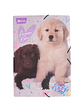 Carpeta Escolar Plastificada Dogs  - Miniatura 1