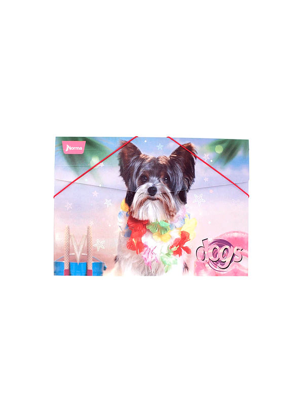 Carpeta Fuelle Cartón Dogs  3