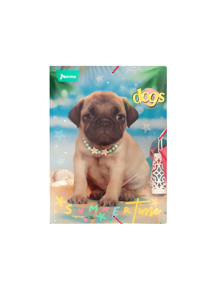 Carpeta Escolar Cartón Dogs 1