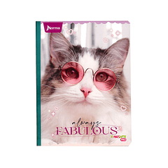 Cuaderno Cosido Norma Cats 100 Hojas Cuadros