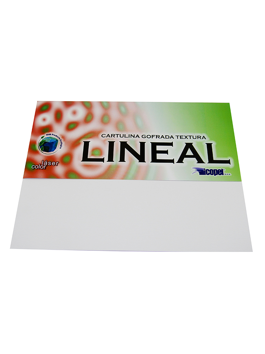 Cartulina Grofada X 1 Unidad 10