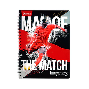 Cuaderno Catedrático Imágenes Masculino 80 Hojas 