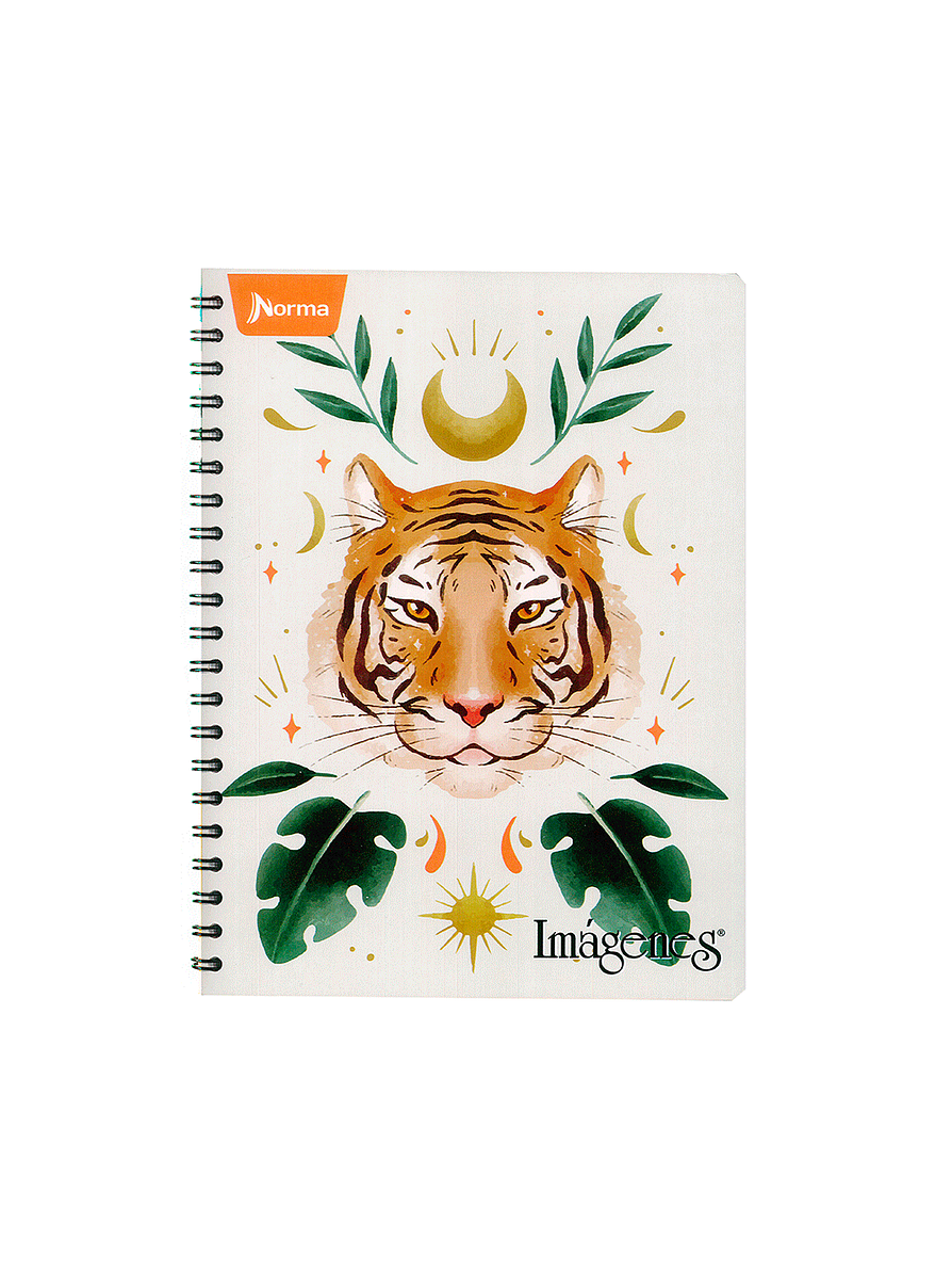 Cuaderno Catedrático Imágenes Femenino 80 Hojas  3