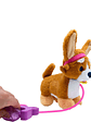 Peluche Perrito Con Sonido Corgi - Miniatura 7