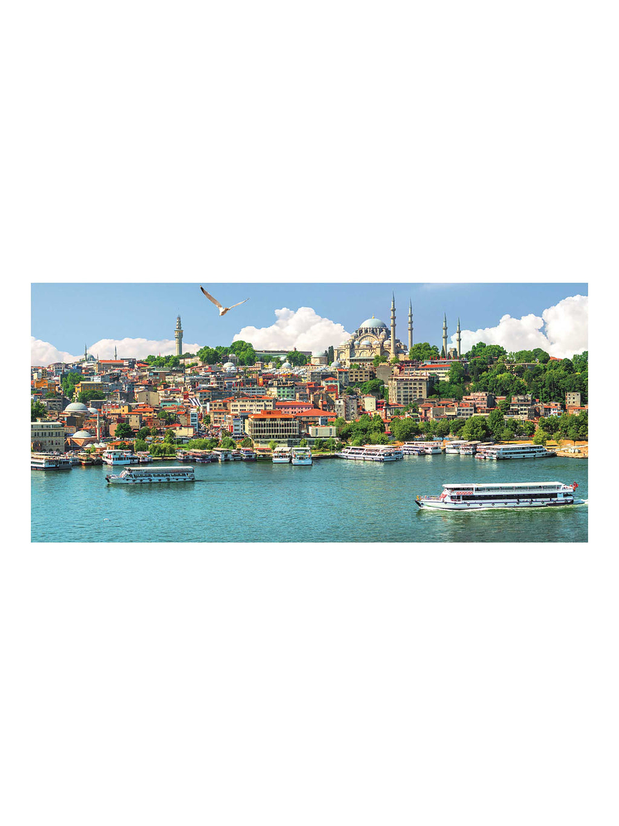 Rompecabezas X 1500 Piezas Ciudades Panorámicas  4