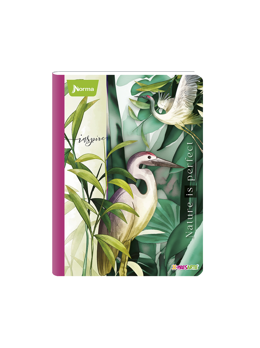 Cuaderno Cosido Pasta Dura X-Presarte 90 Hojas Cuadros Femenino 3