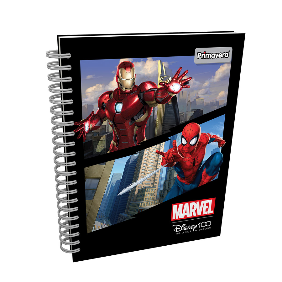 Cuaderno Primavera 5 Materias Catedrático Disney 100 Masculino 3