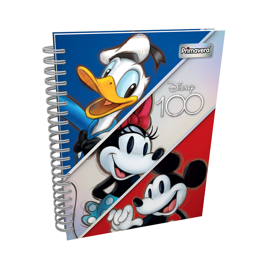 Cuaderno Primavera 5 Materias Catedrático Disney 100 Femenino 3