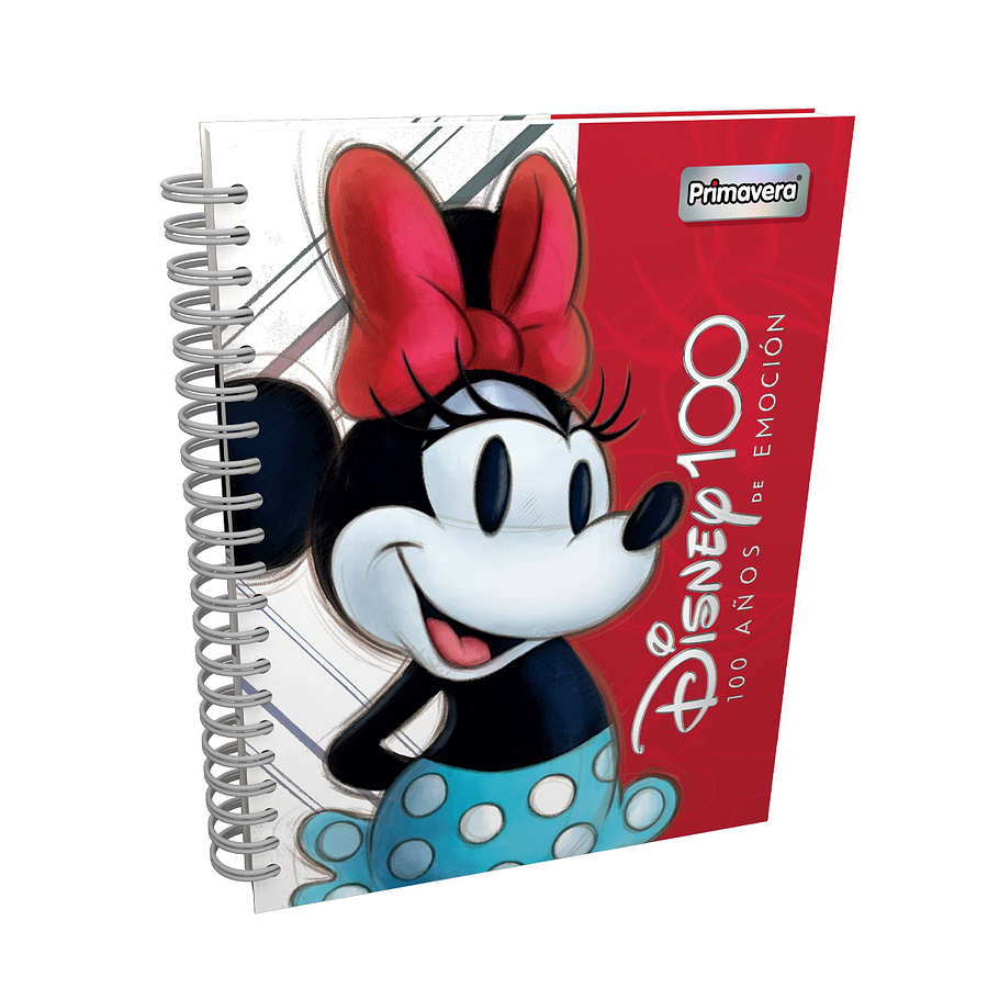 Cuaderno Primavera 5 Materias Catedrático Disney 100 Femenino 4