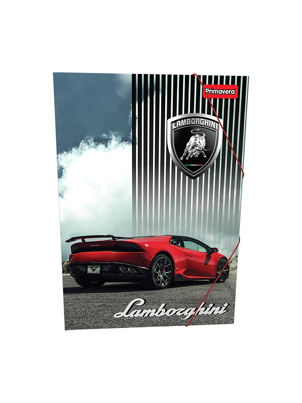 Carpeta Primavera Plástica Con Liga Niño 3