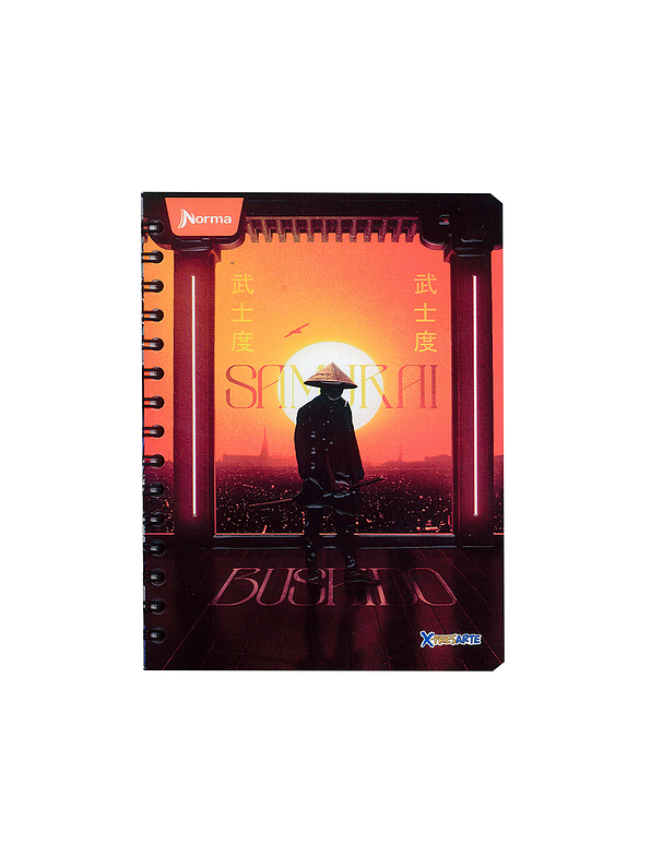 Cuaderno Argollado X-Presarte 80 Hojas Cuadros Masculino 10