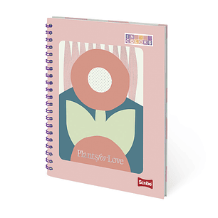 Agenda Catedrática 7 Materias Incolors 