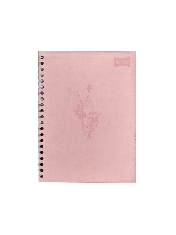 Agenda Catedrática Cuero Femenino 7 Materias  3