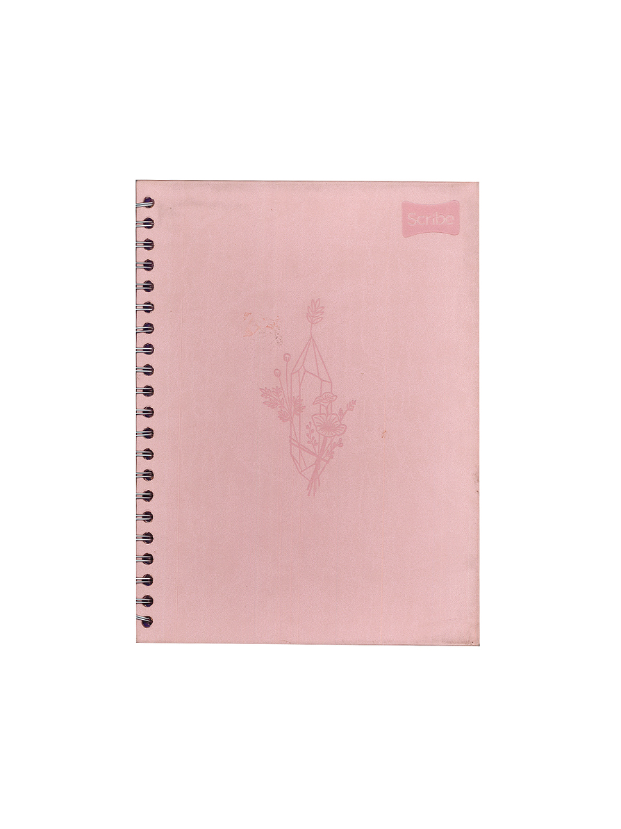 Agenda Catedrática Cuero Femenino 7 Materias  3