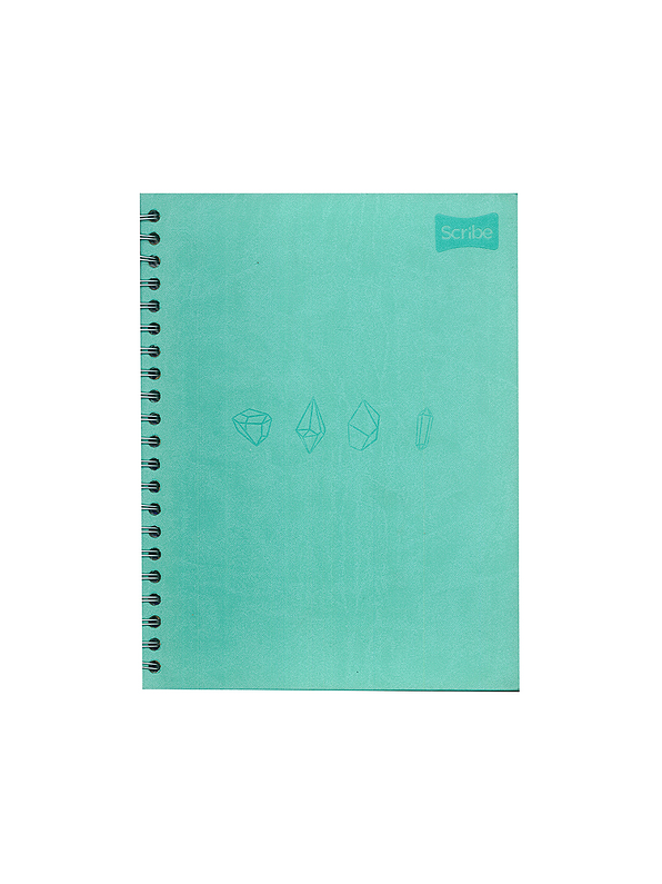 Agenda Catedrática Cuero Femenino 5 Materias  3