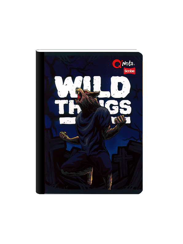 Cuaderno Cosido Qnota Masculino 50 Hojas Cuadros  1