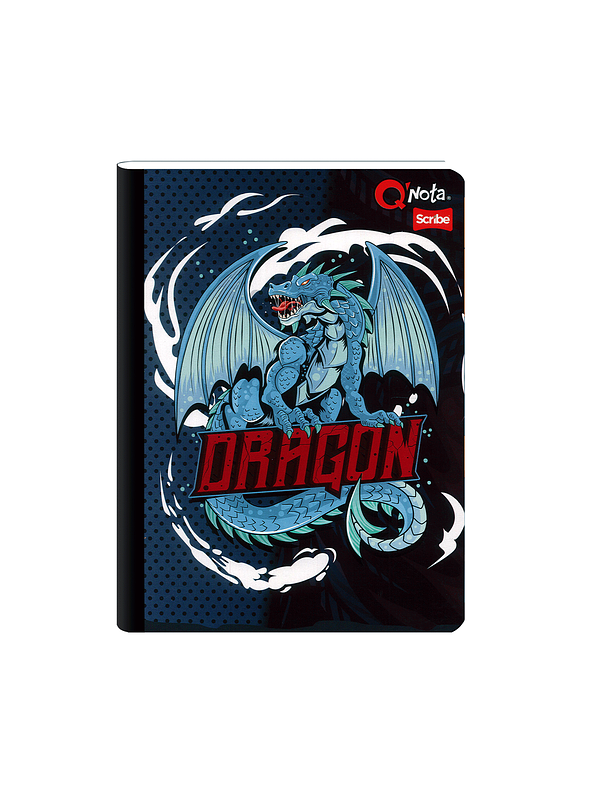 Cuaderno Cosido Qnota Masculino 50 Hojas Cuadros  12