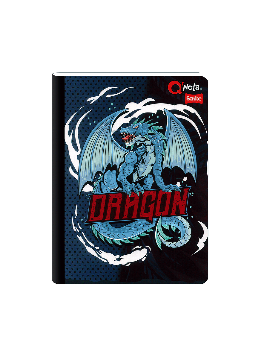 Cuaderno Cosido Qnota Masculino 100 Hojas Cuadros  13