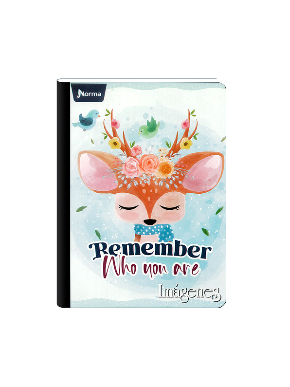 Cuaderno Cosido Imágenes Femenino 100 Hojas Cuadros  2