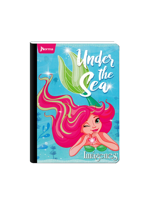 Cuaderno Cosido Imágenes Femenino 100 Hojas Cuadros  12