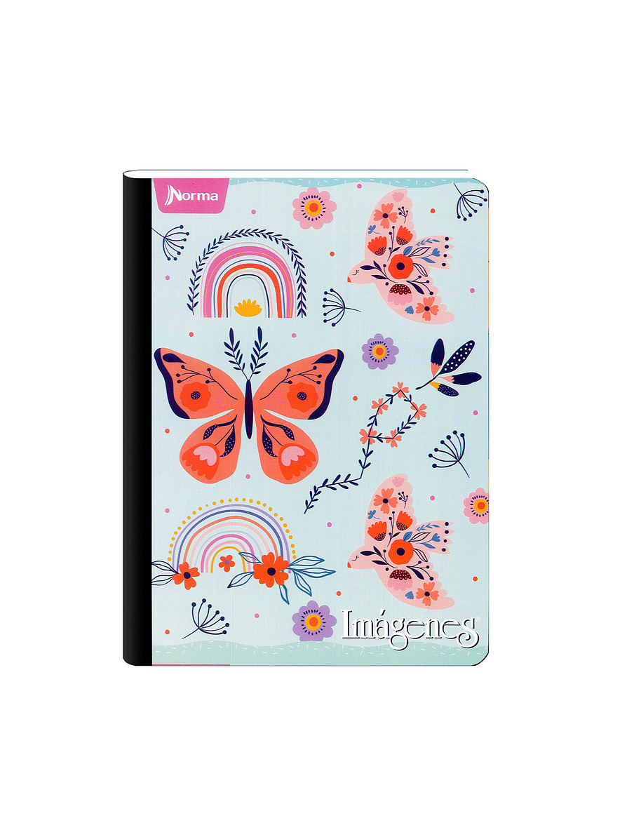 Cuaderno Cosido Imágenes Femenino 100 Hojas Cuadros  13