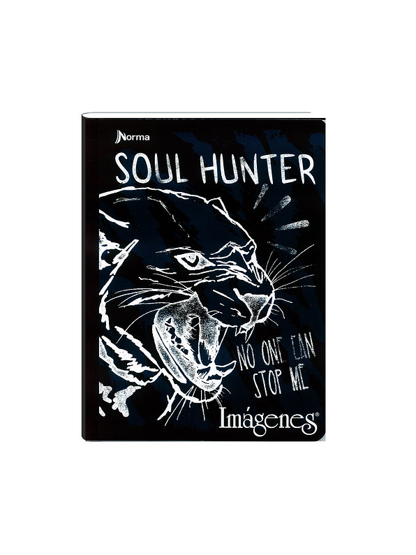 Cuaderno Cosido Imágenes Masculino 50 Hojas Cuadros  2