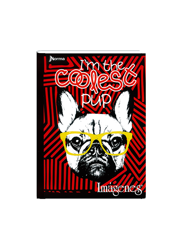 Cuaderno Cosido Imágenes Masculino 50 Hojas Cuadros  3