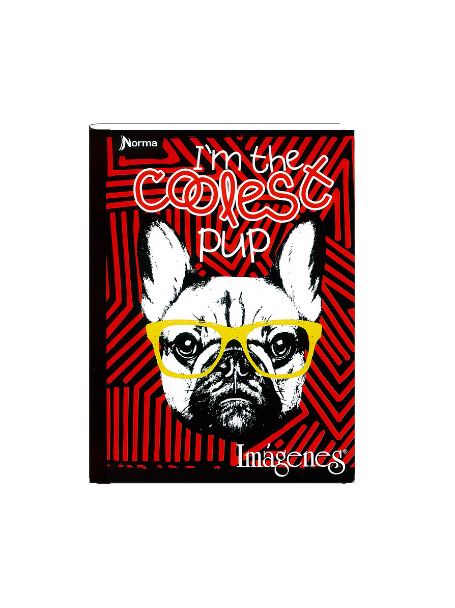 Cuaderno Cosido Imágenes Masculino 50 Hojas Cuadros  3