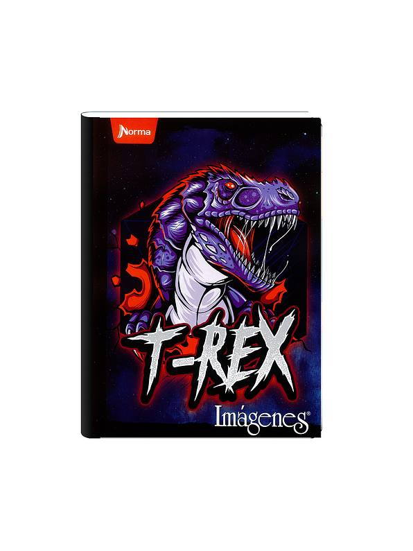 Cuaderno Cosido Imágenes Masculino 50 Hojas Cuadros  10