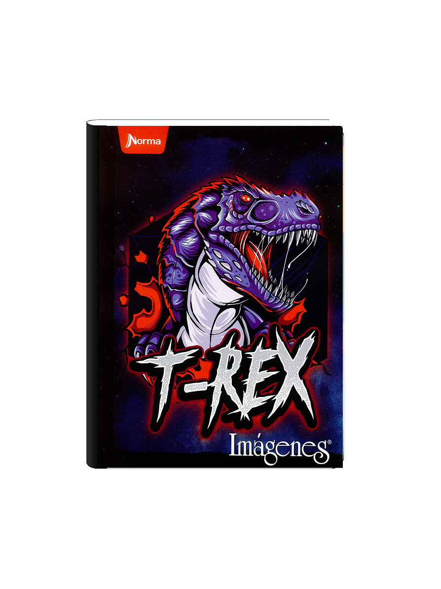 Cuaderno Cosido Imágenes Masculino 50 Hojas Cuadros  10