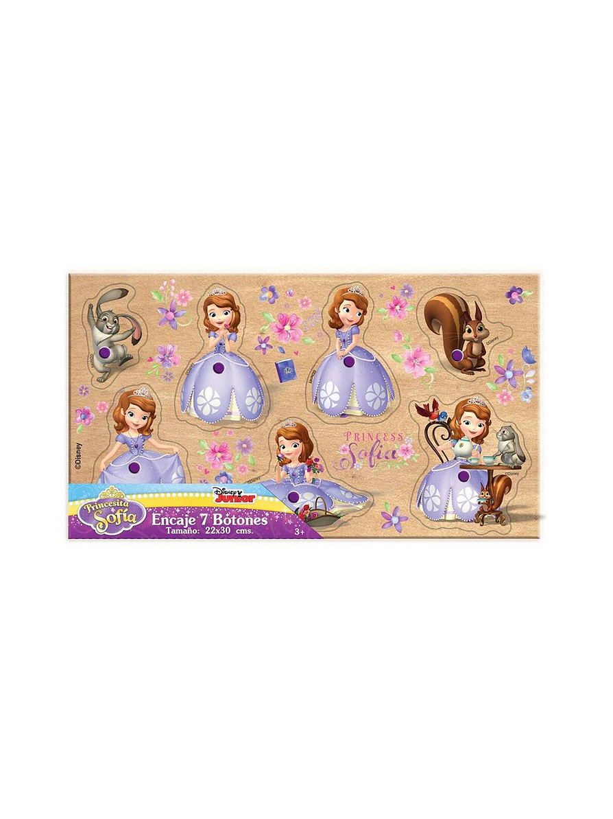 Juego De Encaje Pequeños 7 Botones Princesita Sofia  1