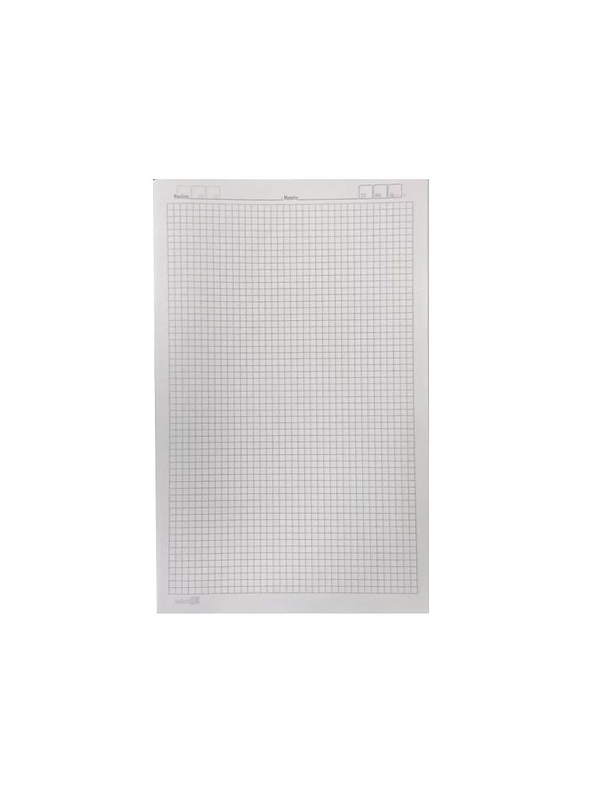 Paquete Hojas De Examen Ministro X 100 Hojas  1