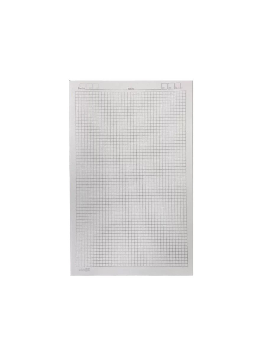 Paquete Hojas De Examen Ministro X 100 Hojas  1