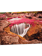 Rompecabezas X 1000 Piezas Caño Cristales Colombia - Miniatura 3
