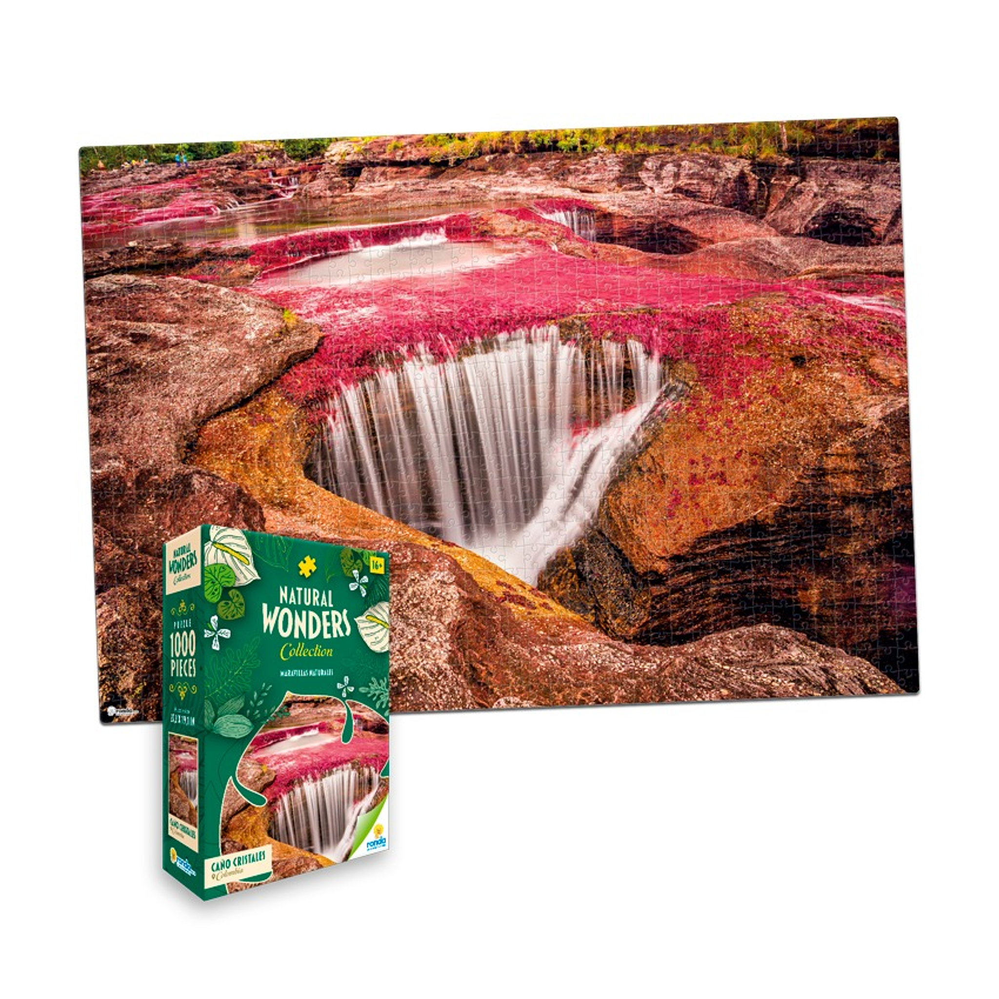 Rompecabezas X 1000 Piezas Caño Cristales Colombia 2