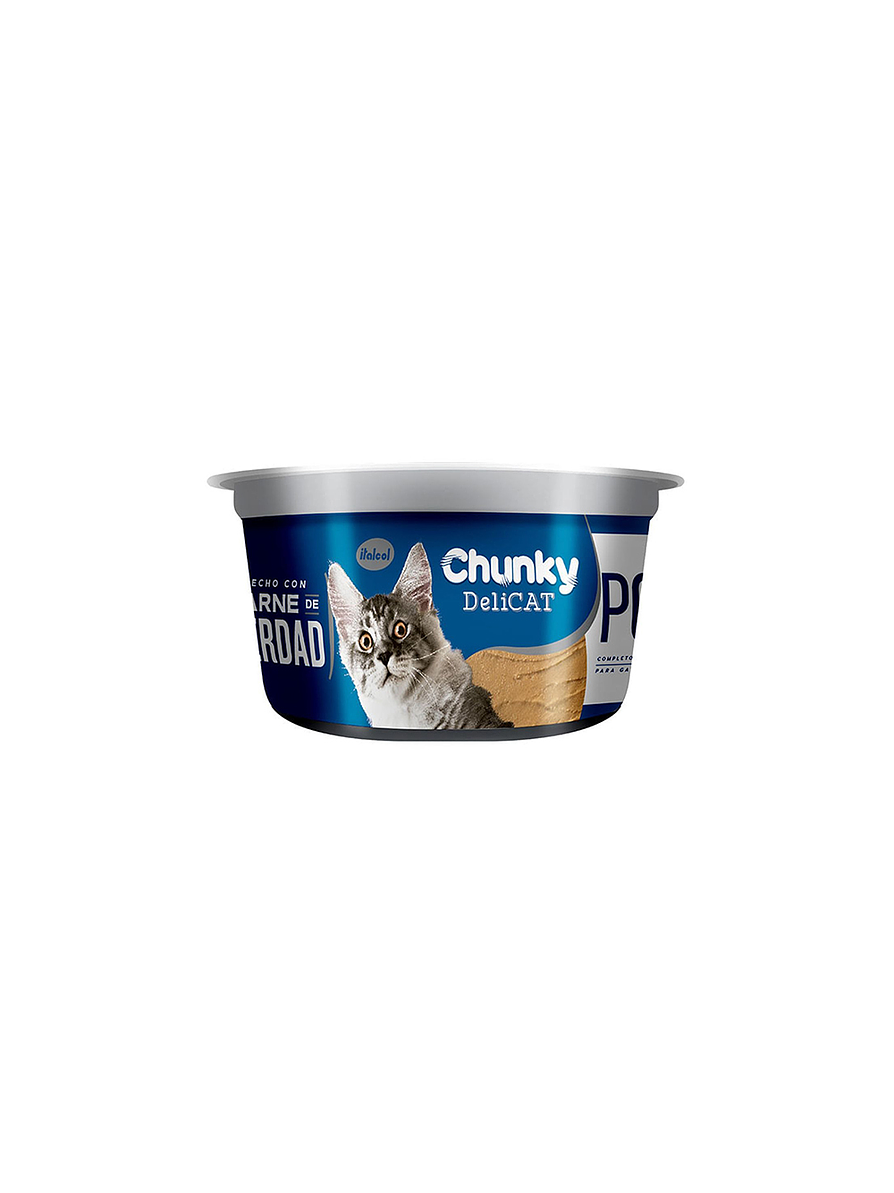 Chunky Delicat Pollo Pote X 156 Gr 1
