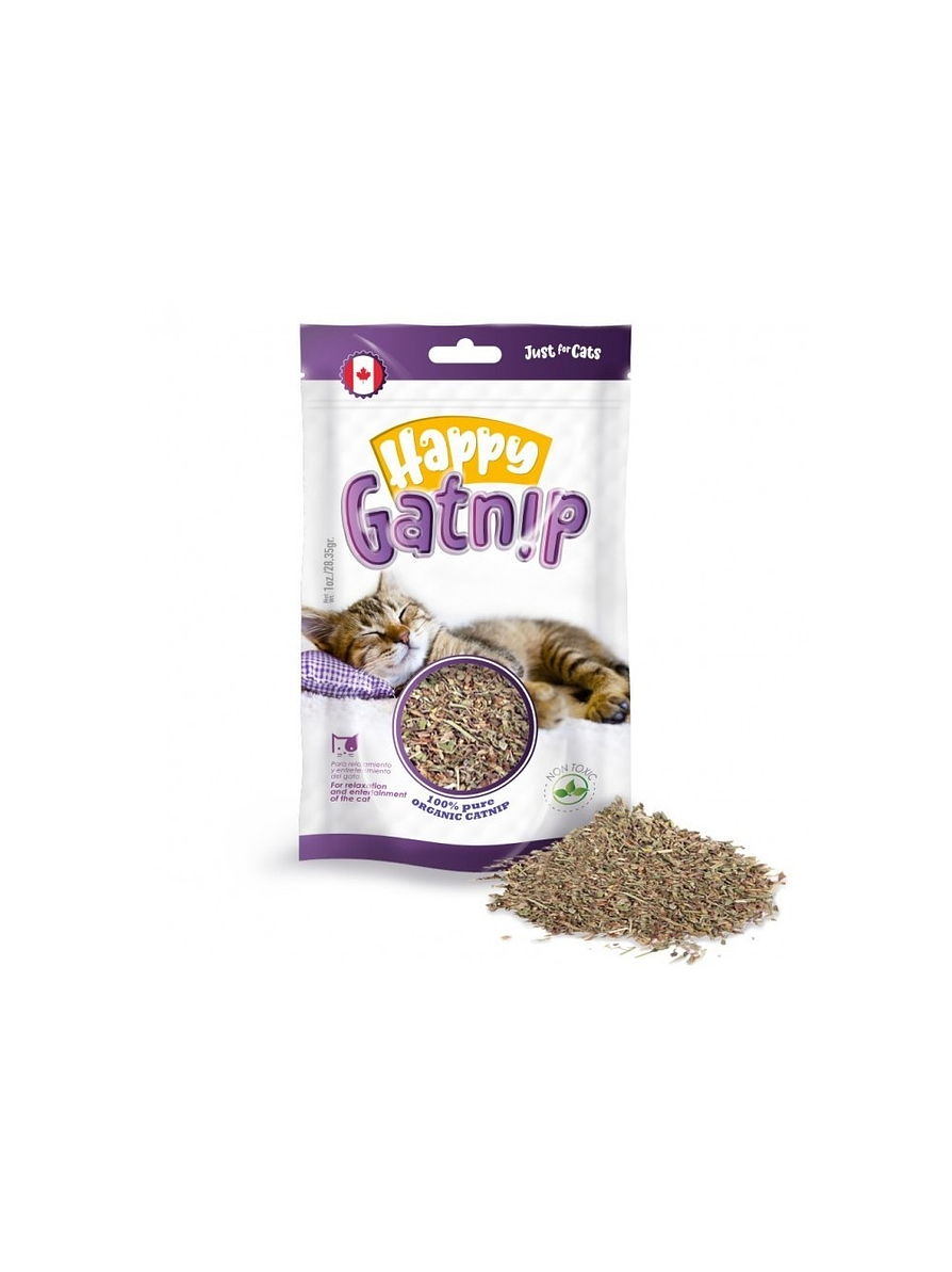 Snack Happy Gatnip X 1 Oz 1