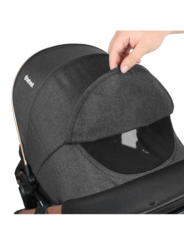 Coche Bebesit Travel System Gold LX Black 11