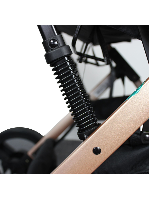 Coche Bebesit Travel System Gold LX Pink 11