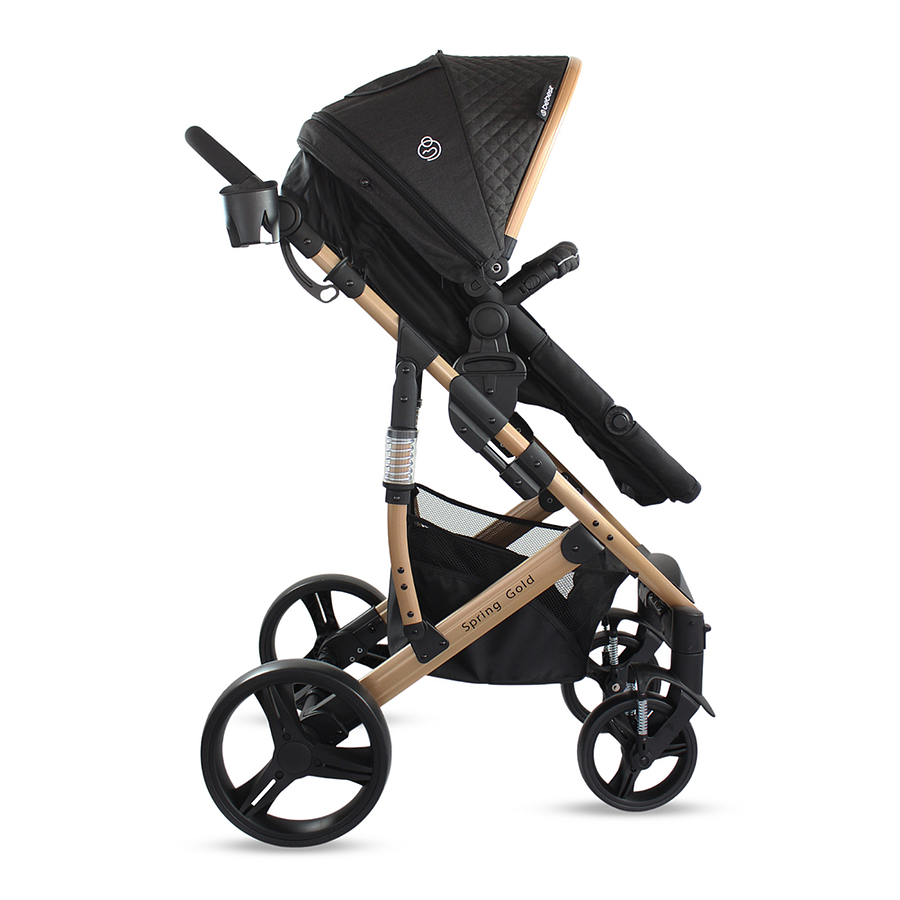 Coche Bebesit Travel System Spring Gold Black 2