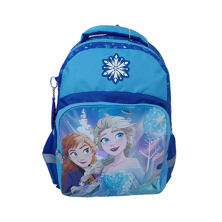 Morral Primavera Premium Frozen II