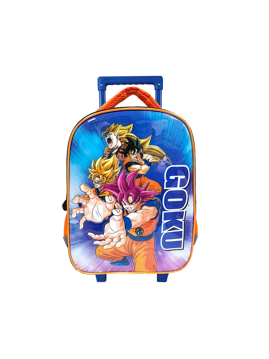 Morral Trolley Primavera 13